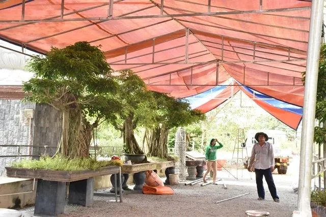 Công tác chuẩn bị cho lễ tự tứ Giáo đoàn VI 21 Công tác chuẩn bị cho lễ tự tứ Giáo đoàn VI image-1731938904637