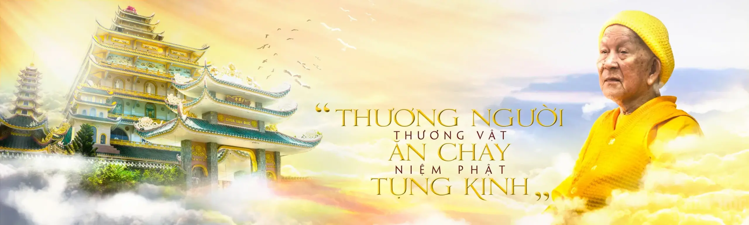 Cốt cách người tu hành - HT Thích Trí Tịnh image-1731944779094