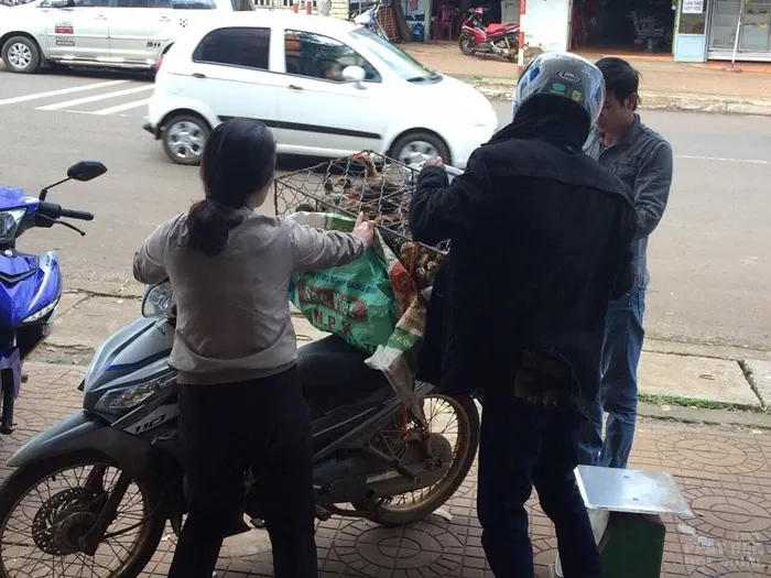 Đăk Nông: Chùa Liên Hoa trao tặng 4 căn nhà tình thương Đăk Nông: Chùa Liên Hoa trao tặng 4 căn nhà tình thương image-1731941595208