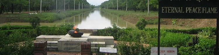 Đến để thấy, thấy để tin: Lâm Tỳ Ni nơi Phật đản sanh 2 Đến để thấy, thấy để tin: Lâm Tỳ Ni nơi Phật đản sanh image-1731746512809