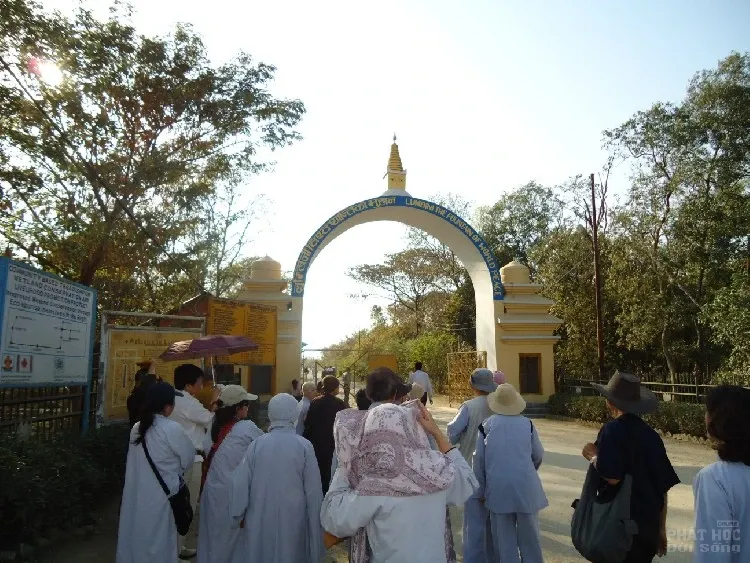 Đến để thấy, thấy để tin: Lâm Tỳ Ni nơi Phật đản sanh 4 Đến để thấy, thấy để tin: Lâm Tỳ Ni nơi Phật đản sanh image-1731746513785