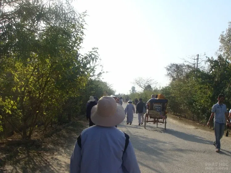 Đến để thấy, thấy để tin: Lâm Tỳ Ni nơi Phật đản sanh 5 Đến để thấy, thấy để tin: Lâm Tỳ Ni nơi Phật đản sanh image-1731746514430