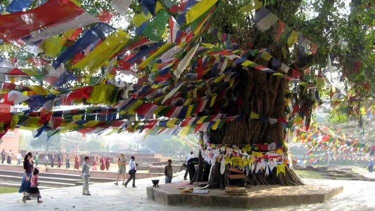 Đến để thấy, thấy để tin: Lâm Tỳ Ni nơi Phật đản sanh 18 Đến để thấy, thấy để tin: Lâm Tỳ Ni nơi Phật đản sanh image-1731746522035