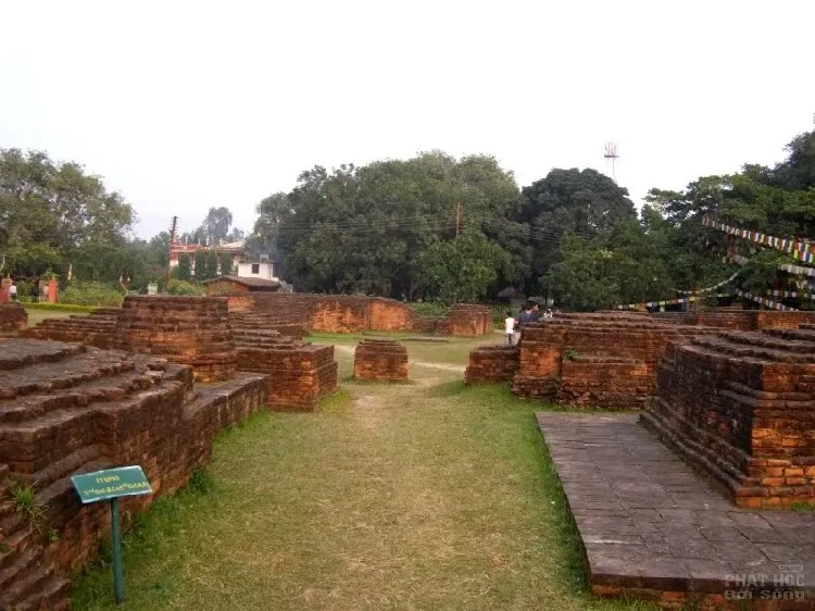 Đến để thấy, thấy để tin: Lâm Tỳ Ni nơi Phật đản sanh 19 Đến để thấy, thấy để tin: Lâm Tỳ Ni nơi Phật đản sanh image-1731746522568