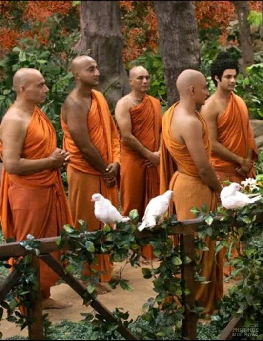 Diễn viên Mayank Arora trong vai A Nan phim Đức Phật image-1732291826375