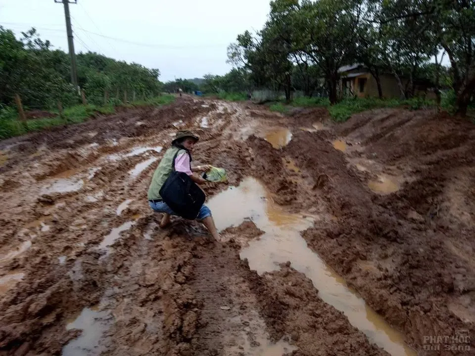 Đoạn đường thử thách lòng người ở Đăk Ngo 2 Đoạn đường thử thách lòng người ở Đăk Ngo image-1731940565885