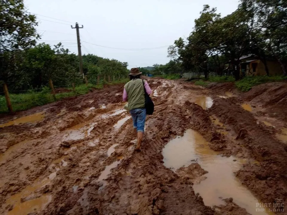 Đoạn đường thử thách lòng người ở Đăk Ngo 5 Đoạn đường thử thách lòng người ở Đăk Ngo image-1731940568857
