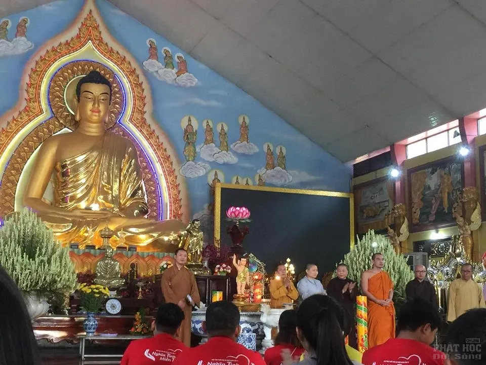 Đợi chờ từ một hội trại image-1731943173934