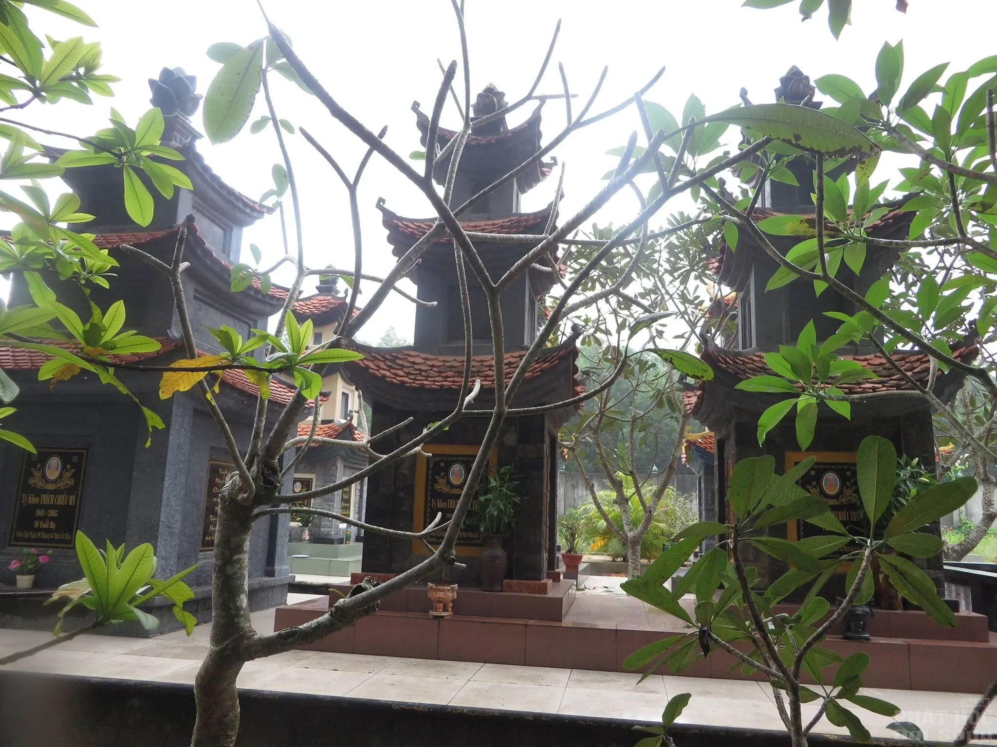 Đồng Nai: Lễ tiểu tường cố HT Thích Thông Quả 5 Đồng Nai: Lễ tiểu tường cố HT Thích Thông Quả image-1731921556629
