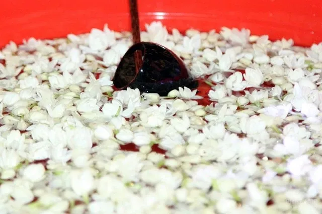 Đồng Nai: Tổ đình Phước Viên tuần lễ Phật đản image-1731935077232