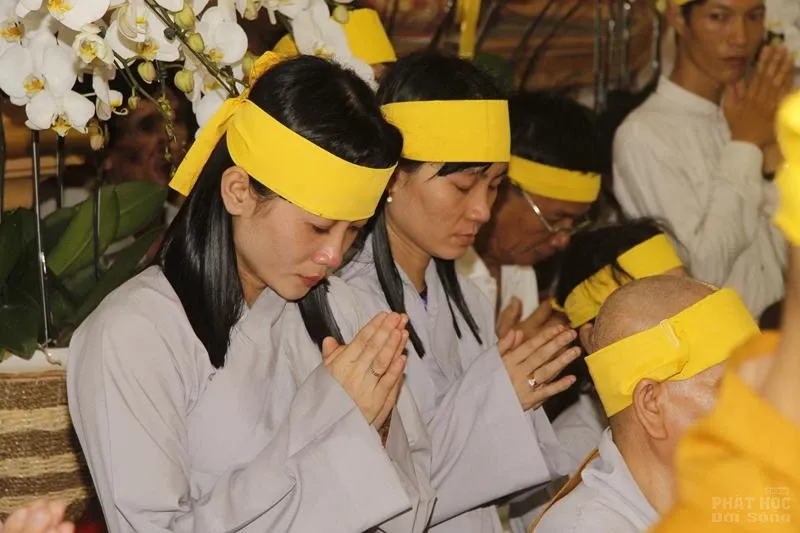 Đồng Tháp: Lễ cung tống kim quan HT. Thích Chơn Thành nhập bảo tháp 8 Đồng Tháp: Lễ cung tống kim quan HT. Thích Chơn Thành nhập bảo tháp image-1731941168977