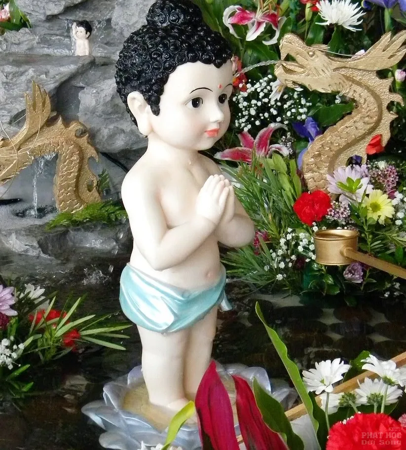 Đức Phật sơ sanh tay phải hay tay trái chỉ lên là đúng? image-1731935608964