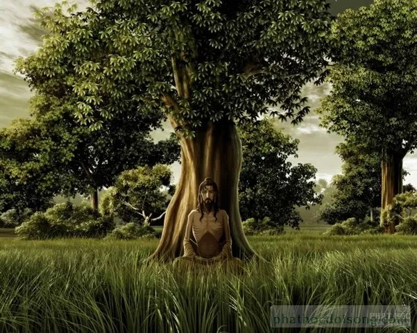 Đức Phật Thích Ca được vẽ bằng tranh 3D Thái Lan image-1731936061894