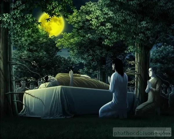 Đức Phật Thích Ca được vẽ bằng tranh 3D Thái Lan image-1731936075638