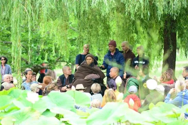 Gần 1.000 tu sinh đi thiền hành cùng thầy Nhất Hạnh image-1731749040264