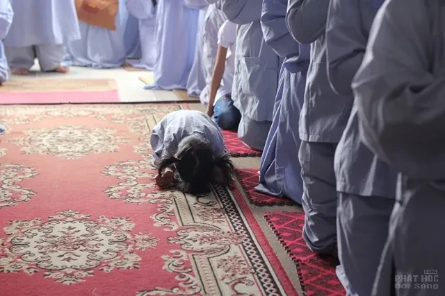 Gần 2000 Phật tử dự lễ Vu lan Chùa Hòa Phúc 11 Gần 2000 Phật tử dự lễ Vu lan Chùa Hòa Phúc image-1732288251507