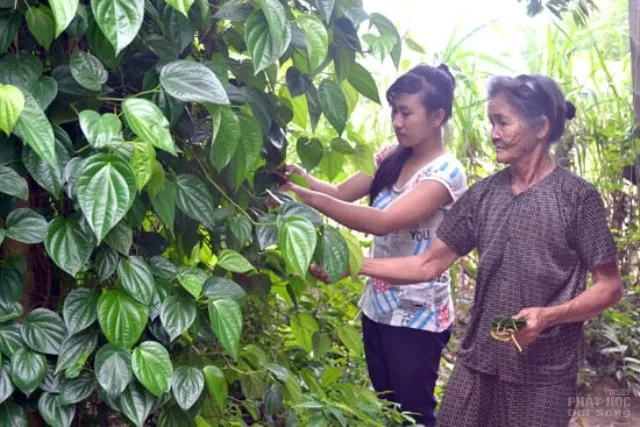 Gập ghềnh con đường đến trường image-1731725218342