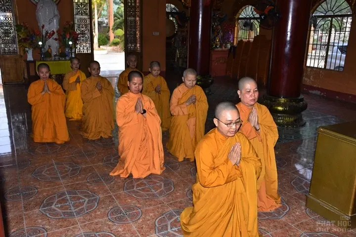 Giáo đoàn VI tặng hơn 1000 phần quà tết cho hộ nghèo, thăm chúc xuân các miền tịnh xá trực thuộc Giáo đoàn VI 21 Giáo đoàn VI tặng hơn 1000 phần quà tết cho hộ nghèo, thăm chúc xuân các miền tịnh xá trực thuộc Giáo đoàn VI image-1731944235619