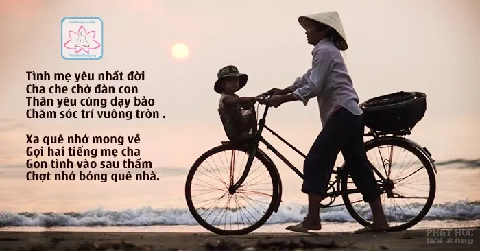 Gởi tình theo tiếng gọi 2 Gởi tình theo tiếng gọi image-1732290279277