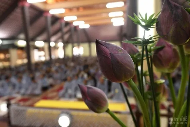 Hà Nội: Chùa Hòa Phúc mừng Đại lễ Phật Đản lần thứ 2642 22 Hà Nội: Chùa Hòa Phúc mừng Đại lễ Phật Đản lần thứ 2642 image-1732288149481