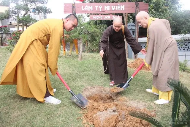 Hà Nội: Hơn 3000 người dự cầu an đầu năm tại Chùa Hòa Phúc image-1731932295547