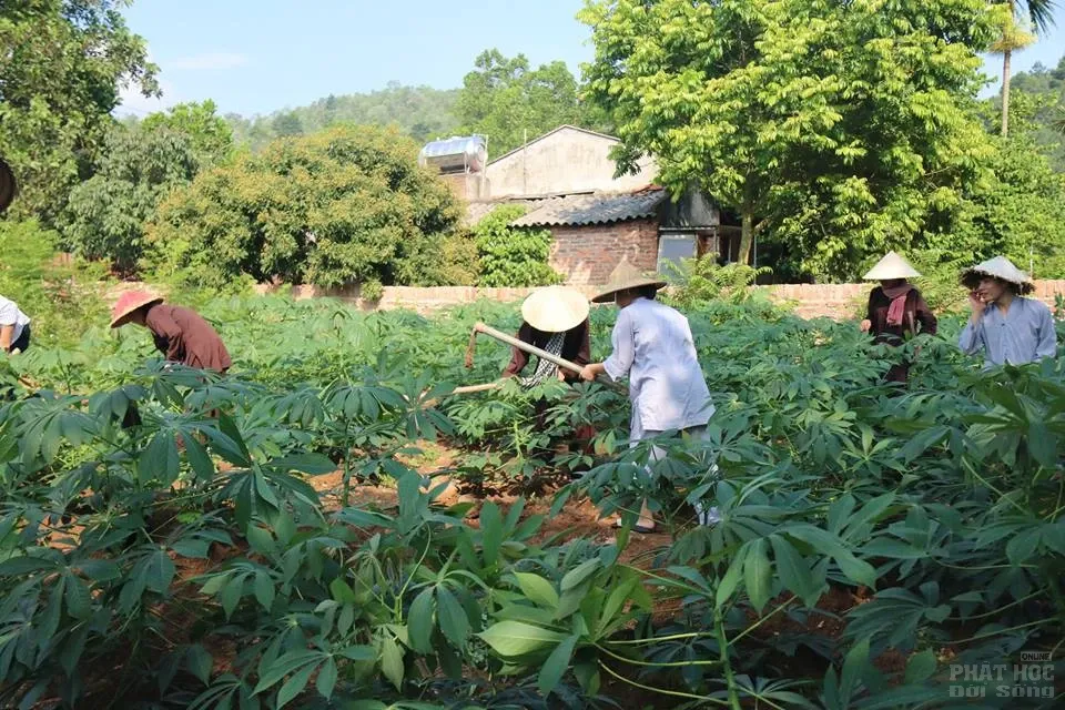 Hà Nội: Khóa tu mùa hè 'Về để lắng nghe' Chùa Hòa Phúc 9 Hà Nội: Khóa tu mùa hè 'Về để lắng nghe' Chùa Hòa Phúc image-1731942549819