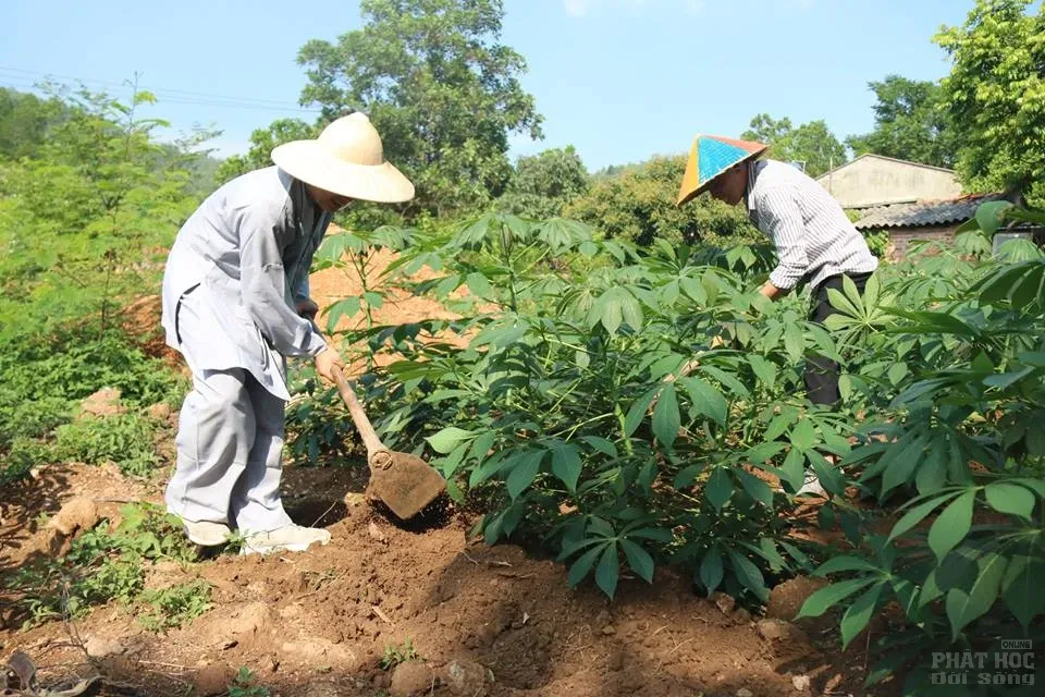 Hà Nội: Khóa tu mùa hè 'Về để lắng nghe' Chùa Hòa Phúc 15 Hà Nội: Khóa tu mùa hè 'Về để lắng nghe' Chùa Hòa Phúc image-1731942555339
