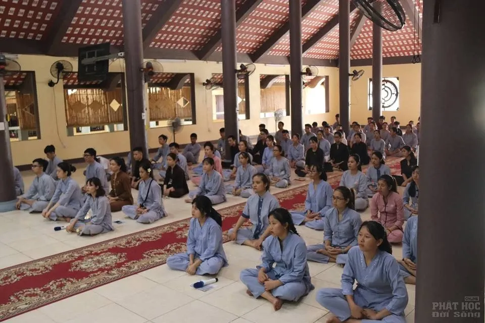 Hà Nội: Khóa tu mùa hè 'Về để lắng nghe' Chùa Hòa Phúc 21 Hà Nội: Khóa tu mùa hè 'Về để lắng nghe' Chùa Hòa Phúc image-1731942560636