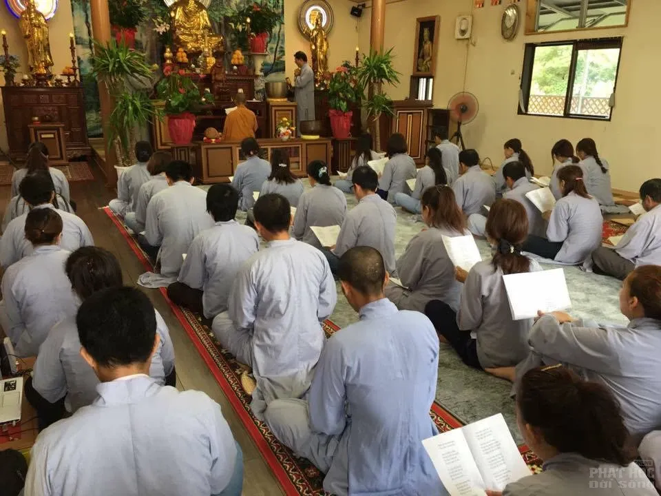 Hạ về nở những gót sen image-1731748185841