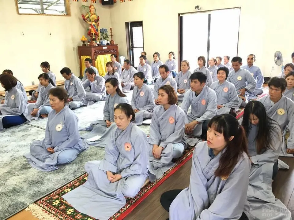 Hạ về nở những gót sen image-1731748187544