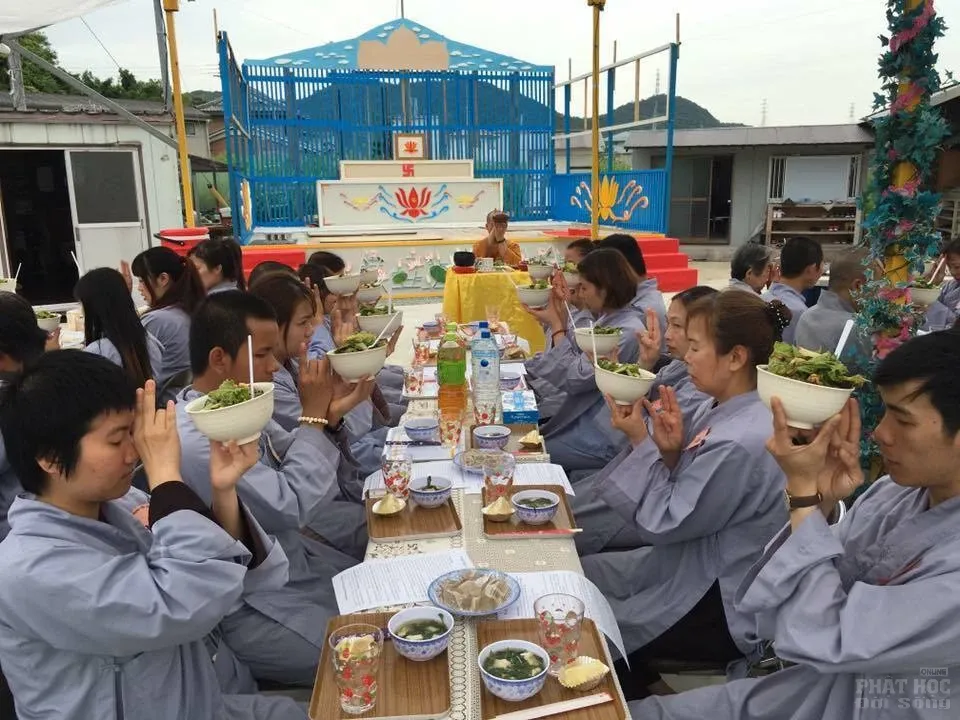 Hạ về nở những gót sen image-1731748188467