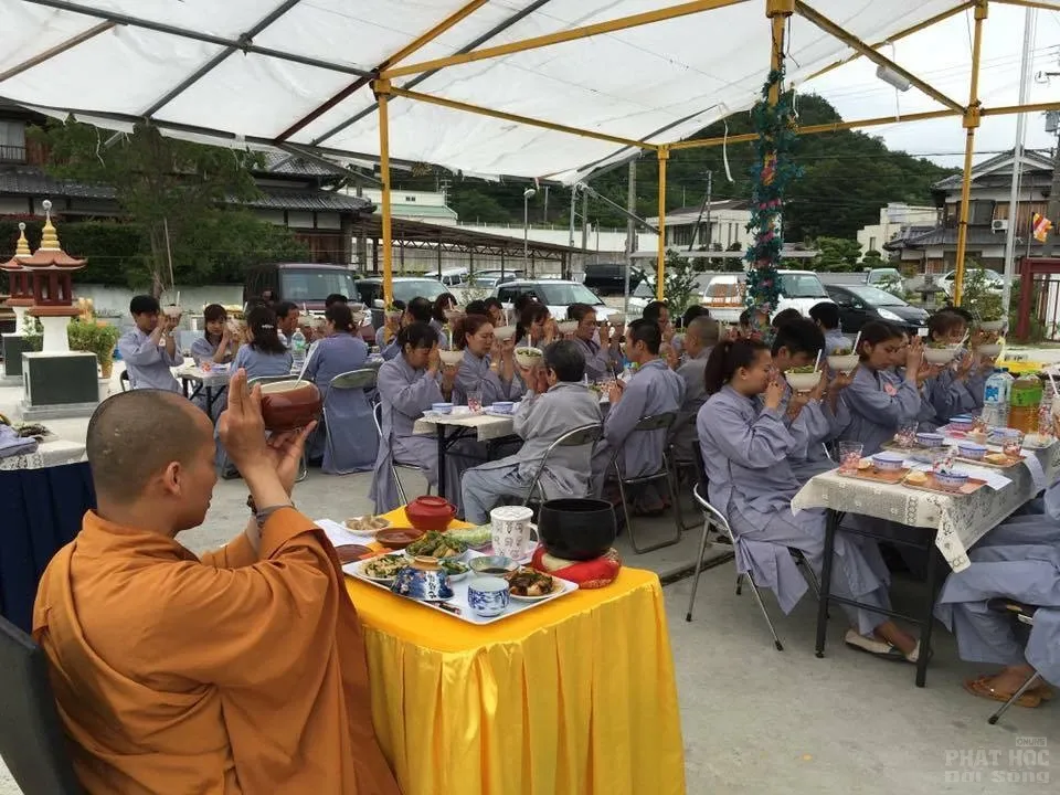 Hạ về nở những gót sen image-1731748190308