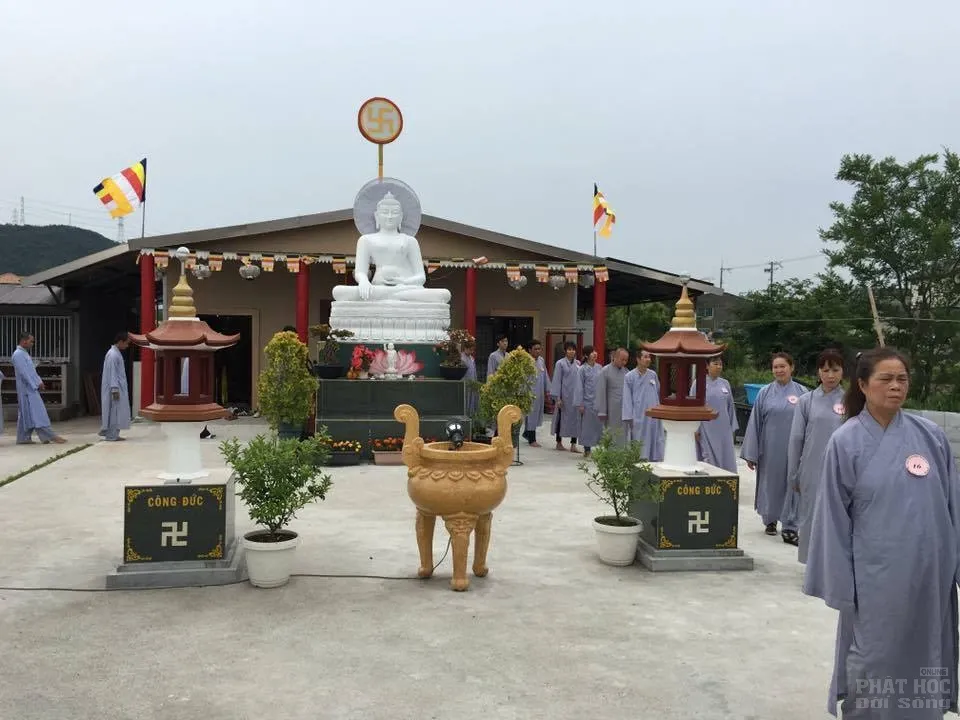 Hạ về nở những gót sen image-1731748191206