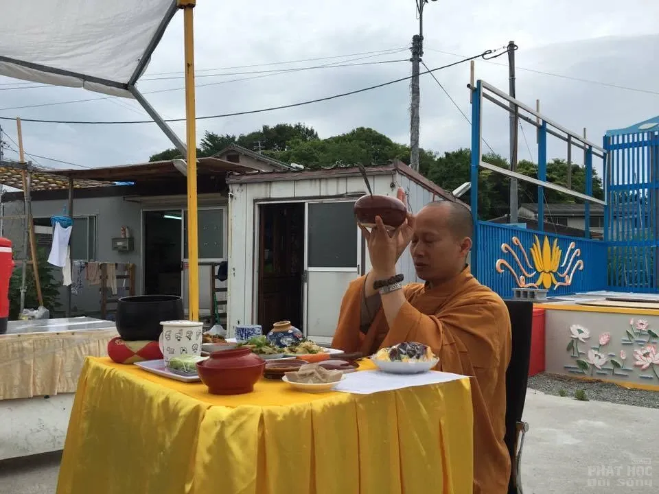 Hạ về nở những gót sen image-1731748192743