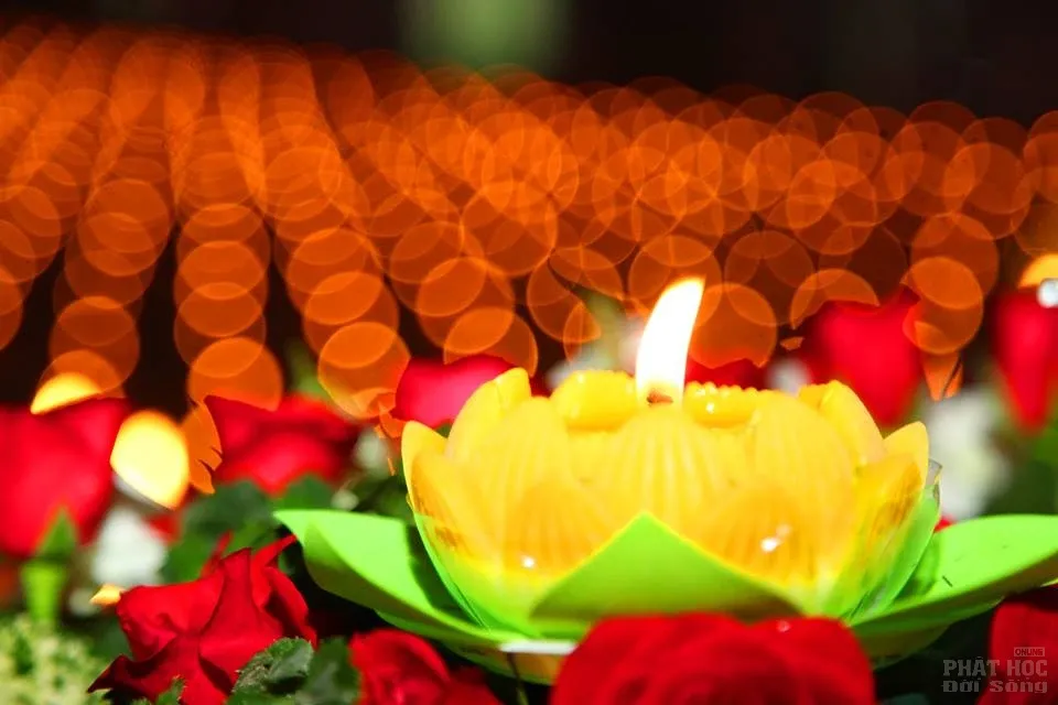 Hàng ngàn người dự lễ vía Phật Di Đà tại Tổ đình Phước Viên image-1731931147429