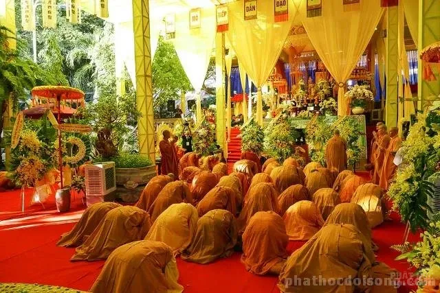 Hàng ngàn người kính bái biệt HT Thích Thiện Bình tại lễ nhập bảo tháp 12 Hàng ngàn người kính bái biệt HT Thích Thiện Bình tại lễ nhập bảo tháp image-1731933124560
