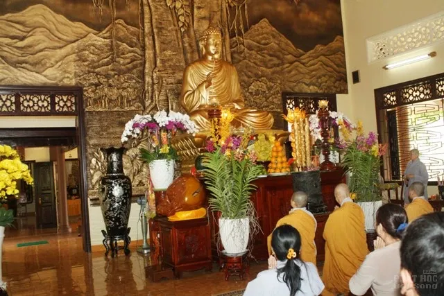 Hành hương thập tự đầu năm 10 Hành hương thập tự đầu năm image-1731726090964