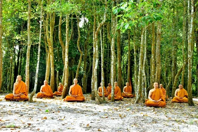 Hạnh phúc ngày tu thứ hai của Tăng đoàn image-1732287954777