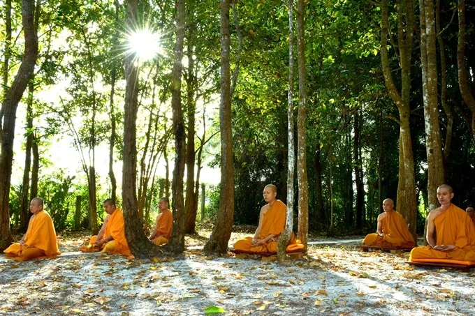 Hạnh phúc ngày tu thứ hai của Tăng đoàn image-1732287955750