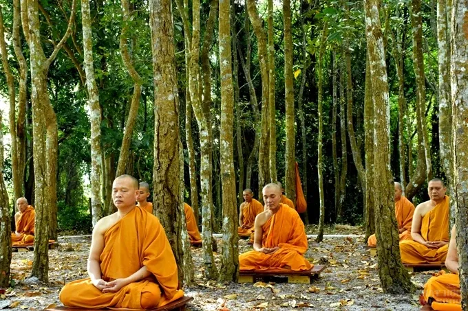 Hạnh phúc ngày tu thứ hai của Tăng đoàn image-1732287956844