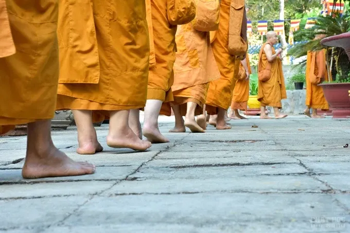 Hạnh phúc ngày tu thứ hai của Tăng đoàn image-1732287960264