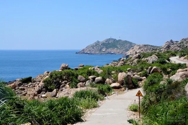 Hành trình du xuân ở Cù Lao Xanh image-1731725996319