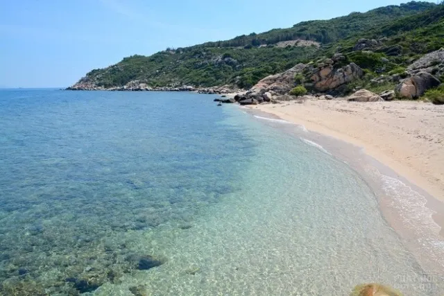 Hành trình du xuân ở Cù Lao Xanh image-1731725996839