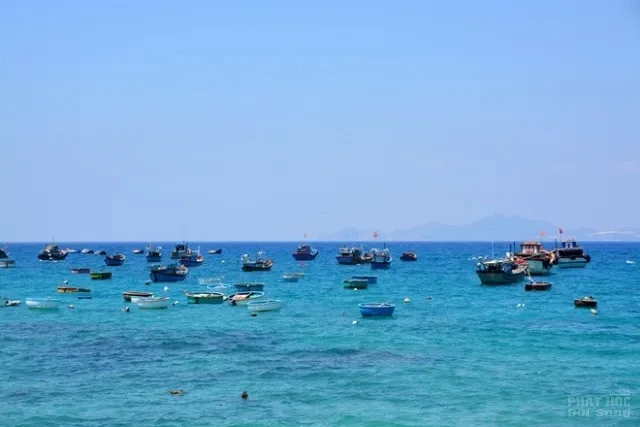 Hành trình du xuân ở Cù Lao Xanh image-1731725997436