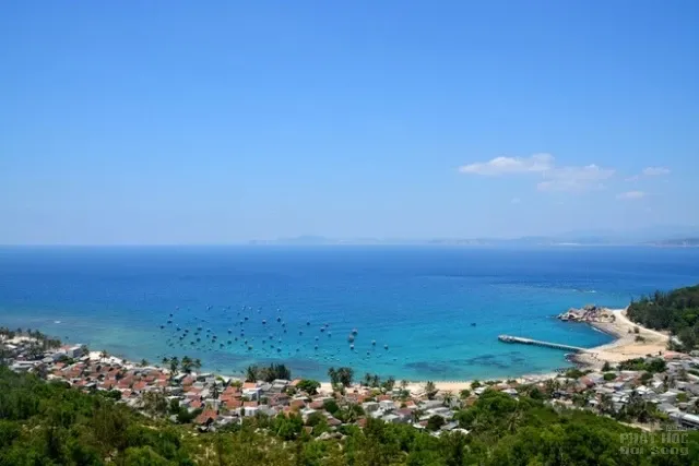 Hành trình du xuân ở Cù Lao Xanh image-1731725999073