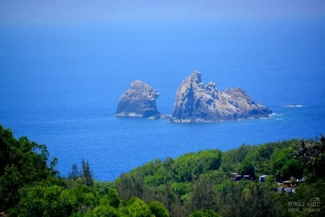 Hành trình du xuân ở Cù Lao Xanh image-1731725999585