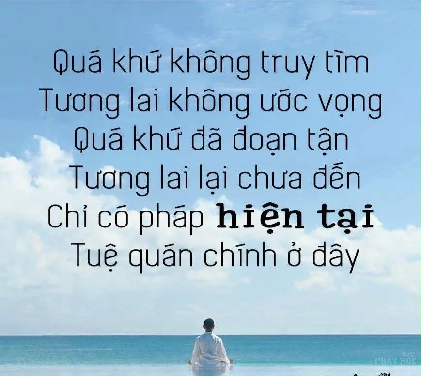 Hãy nhìn sâu vào cuộc sống như nó đang là image-1732289534227