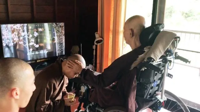 Hình ảnh mới nhất về Thiền sư Nhất Hạnh image-1731940516776