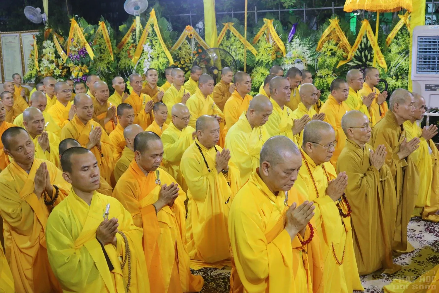 Huế: Lễ cung tống kim quan nhập bảo tháp cố HT.Thích Đức Phương image-1732291538872