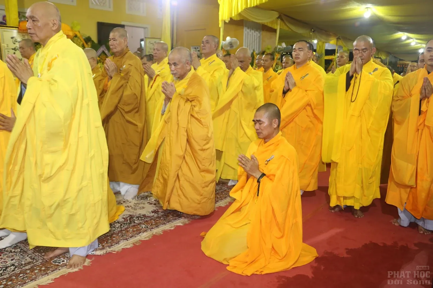 Huế: Lễ cung tống kim quan nhập bảo tháp cố HT.Thích Đức Phương 17 Huế: Lễ cung tống kim quan nhập bảo tháp cố HT.Thích Đức Phương image-1732291559088